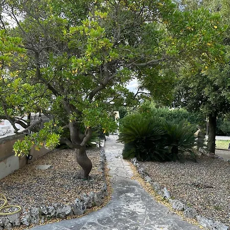 Trulli Maria Francesca *